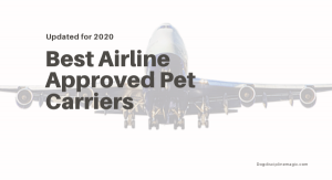 Best Airline Approved Pet Carriers
