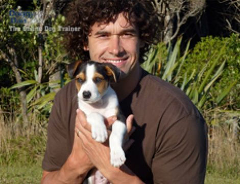 Doggie Discipline Magic Dan Doggie Discipline Magic Dan